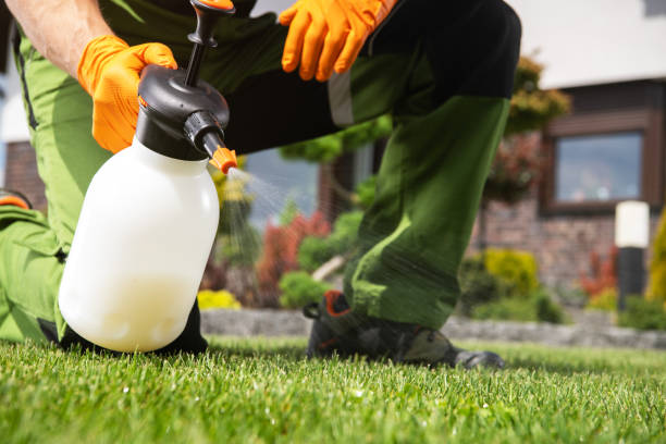 Best Pest Control Near Me in South Milwaukee, WI